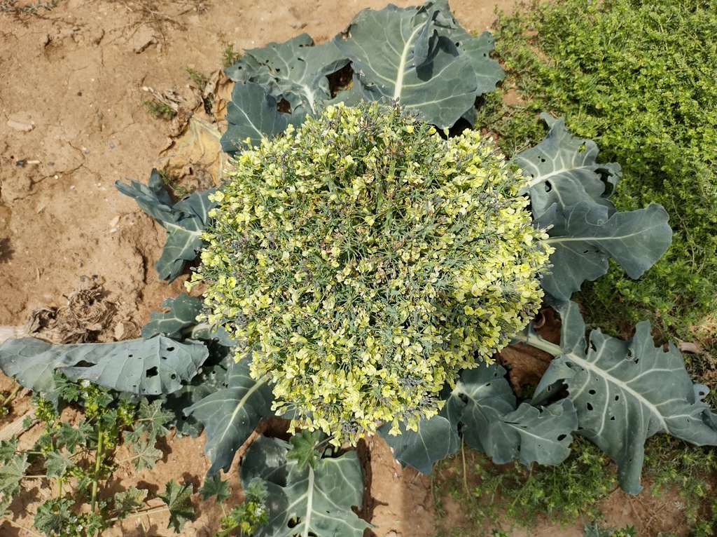 No s'ha trobat l'arxiu